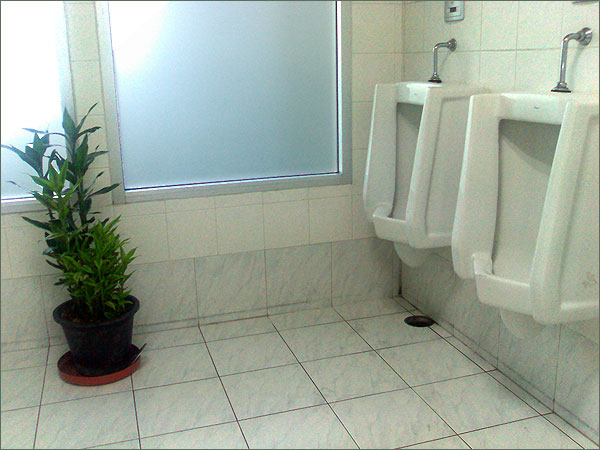 Photograph of the male toilet in Don Mueang district government offices, Bangkok