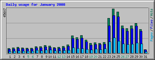 Traffic Graph for 2008-01-31 showing traffic relatively steady