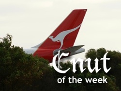 Photograph of jet airliner tail with Qantas logo and Cnut of the Week title