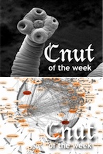 Photograph of a tapeworm, and a social media network diagram, as Cnuts of the Week