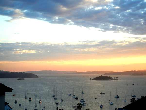 Sydney Harbour from Potts Point: click to embiggen