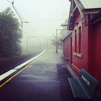 Wentworth Falls in the fog: click to embiggen