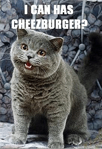 The original Lolcat image: I can has Cheezburger?