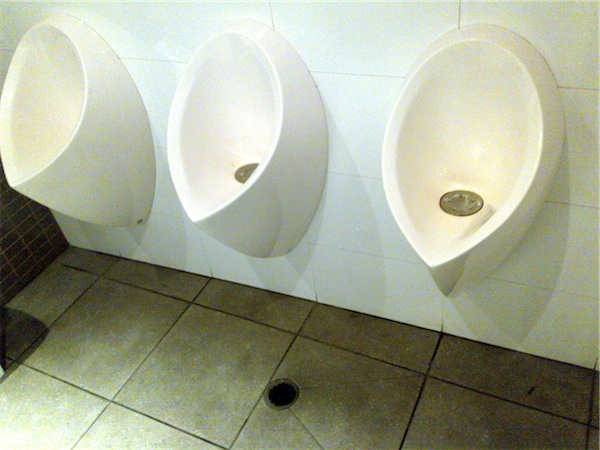 Photograph of the urinal in the Clarendon Hotel, Surry Hills, Sydney