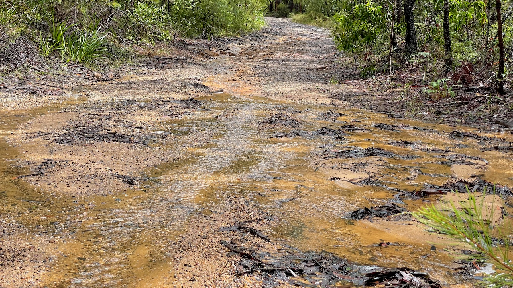 Washed-out track at Bunjaree Cottages