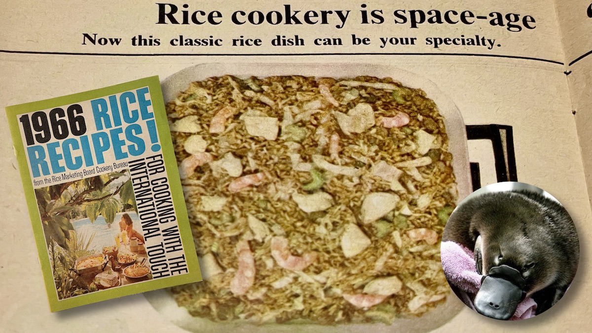 Photo of a faded booklet page, "Rice cookery is space -age. Now this classic rice dish can be your speciality," and a photo of a Sunbeam electric frypan containing alleged nasa goring as discussed in the podcast. Also, a photo of the booklet cover and a platypus.