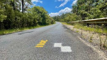 Seen from low down by the ground, an asphalt road runs away from the viewer up a hill, eventually turning to the left and out of sight. The sky is bright blue with a few fluffy white clouds, although little sky can be seen because either side of the road are trees and thickly-growing shrubs. In the immediate foreground, on the road, two white-painted squares are arranged diagonally, joined at their corners. In yellow paint is the number 3011.