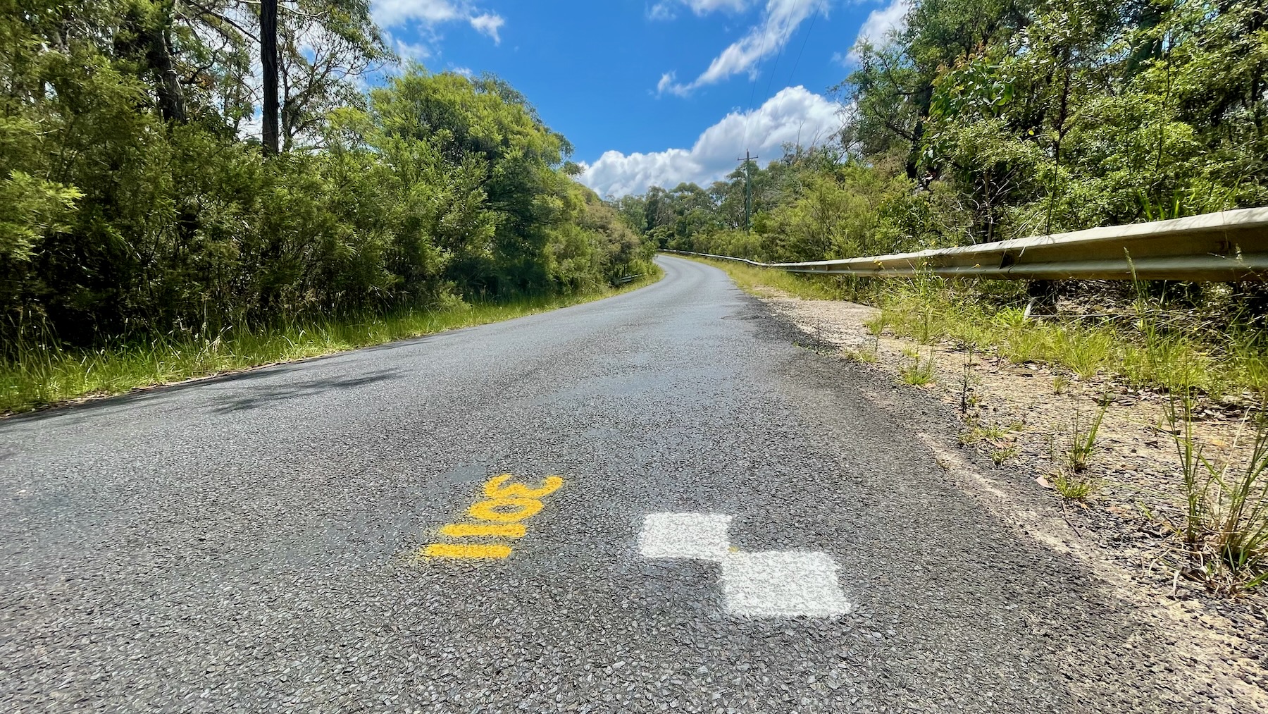 Seen from low down by the ground, an asphalt road runs away from the viewer up a hill, eventually turning to the left and out of sight. The sky is bright blue with a few fluffy white clouds, although little sky can be seen because either side of the road are trees and thickly-growing shrubs. In the immediate foreground, on the road, two white-painted squares are arranged diagonally, joined at their corners. In yellow paint is the number 3011.