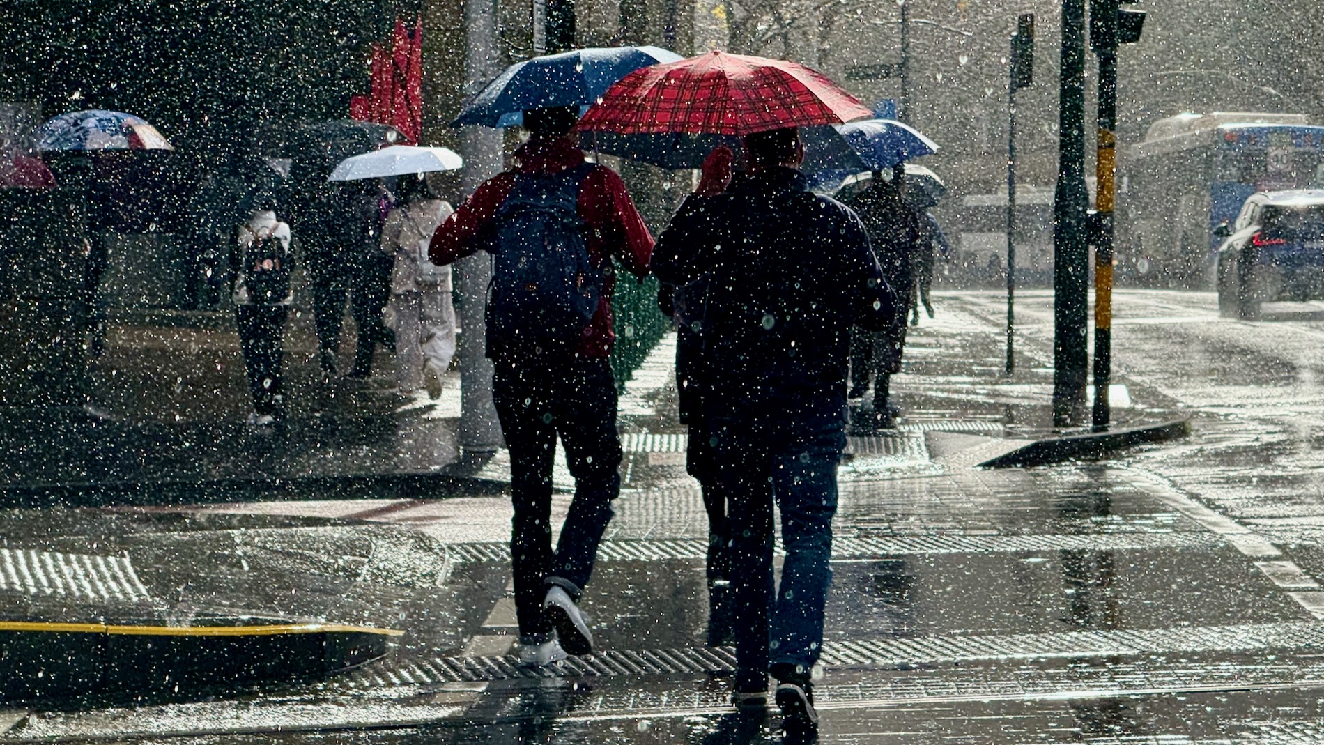 On the corner of a city street, the side lighting from bright sunlight catches a shower of raindrops, the bright white sparks blurring out the silhouettes of two people walking away from a camera, umbrellas raised, one red, one blue, across the pedestrian crossing. On the other side of the street are more such pedestrians.