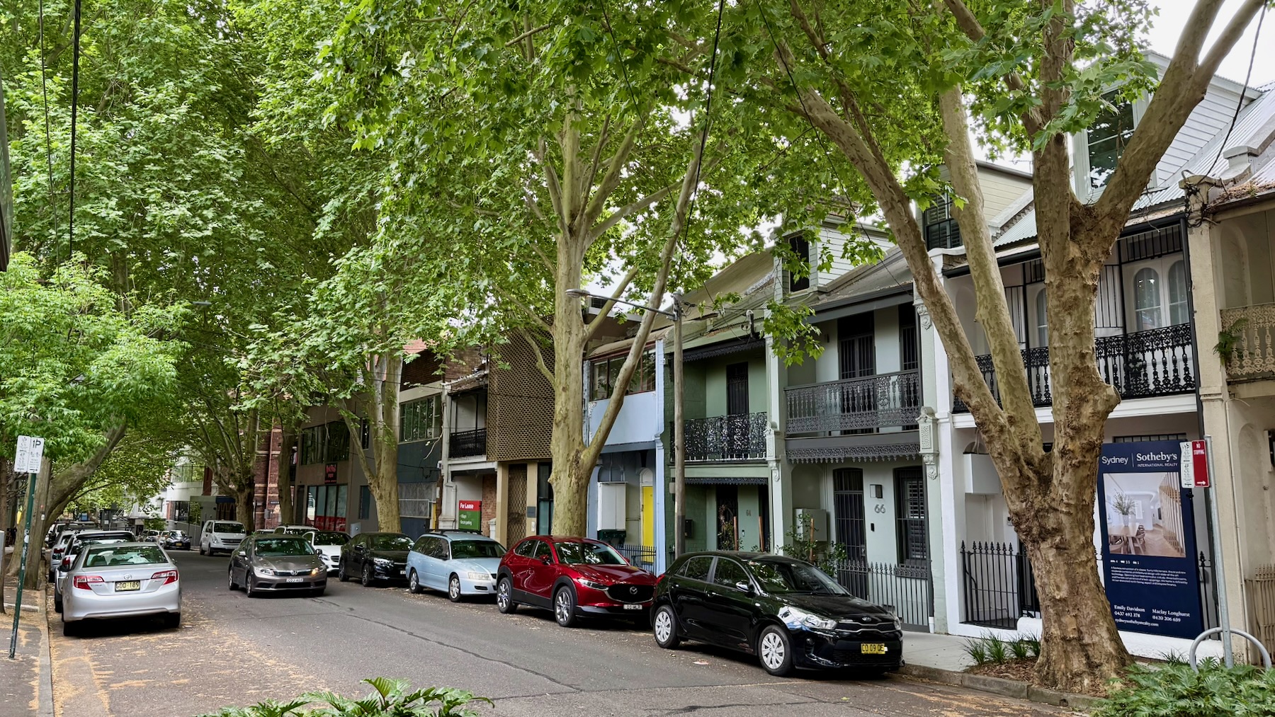 A quiet little street in inner Sydney’s Surry Hills. It’s lined on both sides with parked cars. On the right is a row of two-storey terrace houses, many of them still with old-fashioned iron railings, some with dormer windows added. Covering the street are the branches of London plane trees, fully leaved and towering to twice or maybe three times the height of the houses. The street itself and the sidewalks are littered with crushed and dried leaves, and the powdery remnants of seed pods.