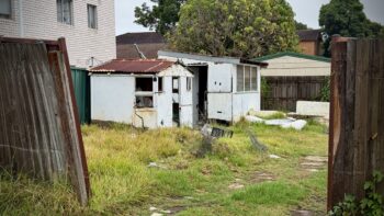 Looking through the gap in a very rickety wooden fence, across an overgrown lawn, to a pair of tiny old sheds made of fibreboard or possibly asbestos, with broken windows and collapsing, rusty iron roofs.