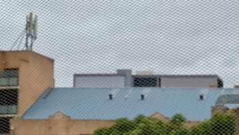 A view out across apartment rooftops to a grey sky. On the left, one brick apartment building is taller with the antennas of a mobile phone cell on its roof. At the bottom there are treetops. But all is blurred slightly because the camera has focused on the balcony netting in the foreground.