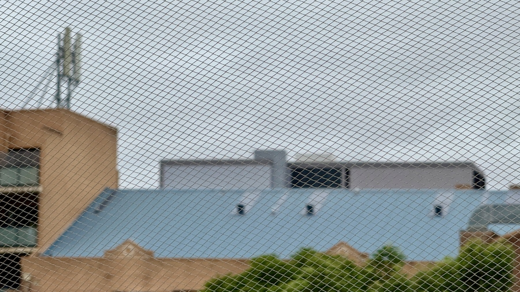 A view out across apartment rooftops to a grey sky. On the left, one brick apartment building is taller with the antennas of a mobile phone cell on its roof. At the bottom there are treetops. But all is blurred slightly because the camera has focused on the balcony netting in the foreground.