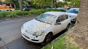 A suburban street with a median strip. Both the strip and the verges have shrubs and trees. Nearest to us, at the base of a palm tree, is an abandoned white Holden sedan. It’s covered in bird shit and its registration plates have been stolen.