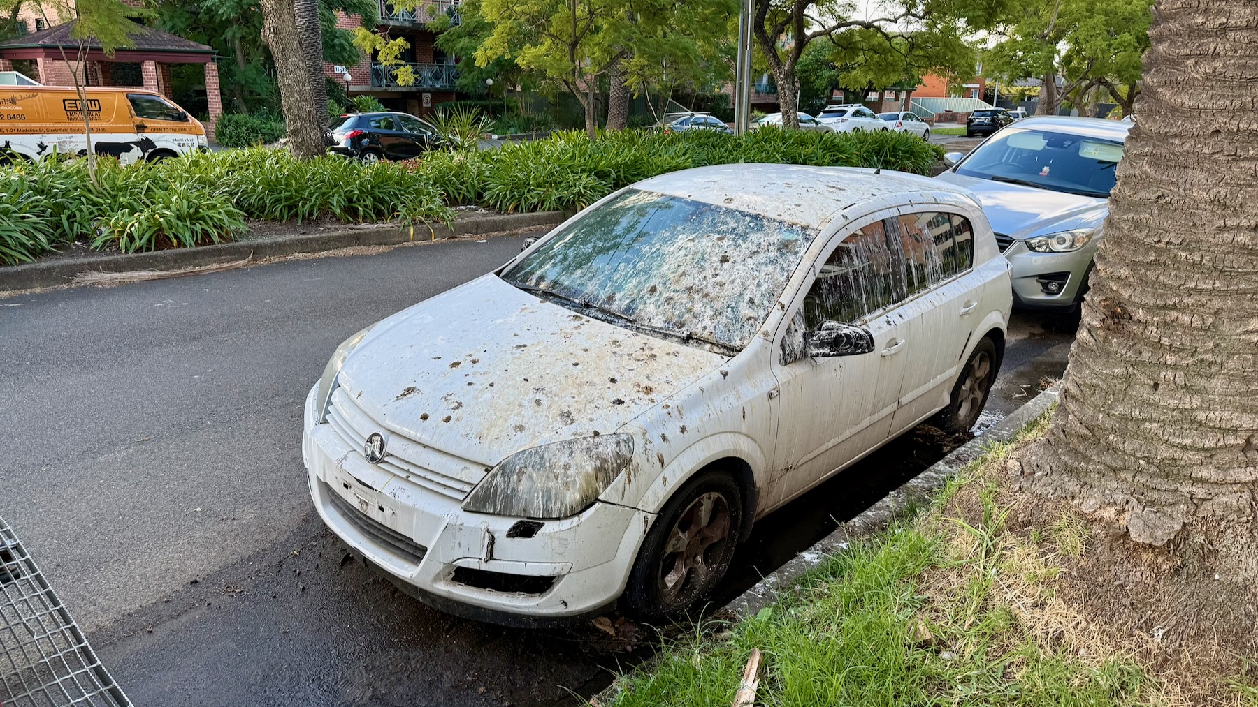 A suburban street with a median strip. Both the strip and the verges have shrubs and trees. Nearest to us, at the base of a palm tree, is an abandoned white Holden sedan. It’s covered in bird shit and its registration plates have been stolen.